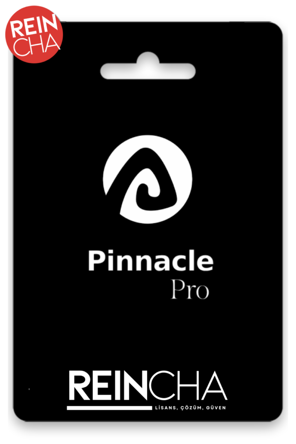 Pinnacle Pro WordPress Teması – Ömür Boyu Lisans
